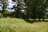 dsc_0145_fs_small.jpg