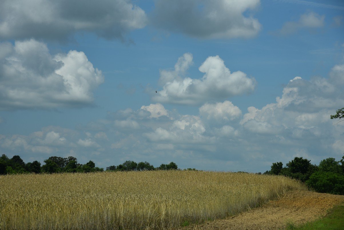 dsc_0174_fs.jpg