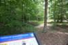 dsc_0181_fs_small.jpg