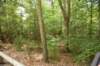 dsc_0183_fs_small.jpg