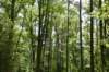 dsc_0251_fs_small.jpg