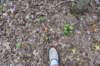 dsc_0261_fs_small.jpg