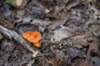 dsc_0262_fs_small.jpg