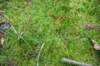 dsc_0263_fs_small.jpg