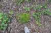dsc_0264_fs_small.jpg