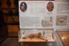 dsc_9996_fs_small.jpg