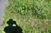 dsc_4696_fs_small.jpg