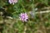 dsc_4697_fs_small.jpg