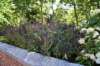 dsc_5762_fs_small.jpg