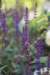 dsc_5763_fs_small.jpg