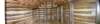 dsc_5786_fs_89_pf_small.jpg