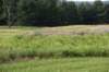 dsc_5800_fs_small.jpg