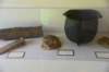 dsc_5940_fs_small.jpg