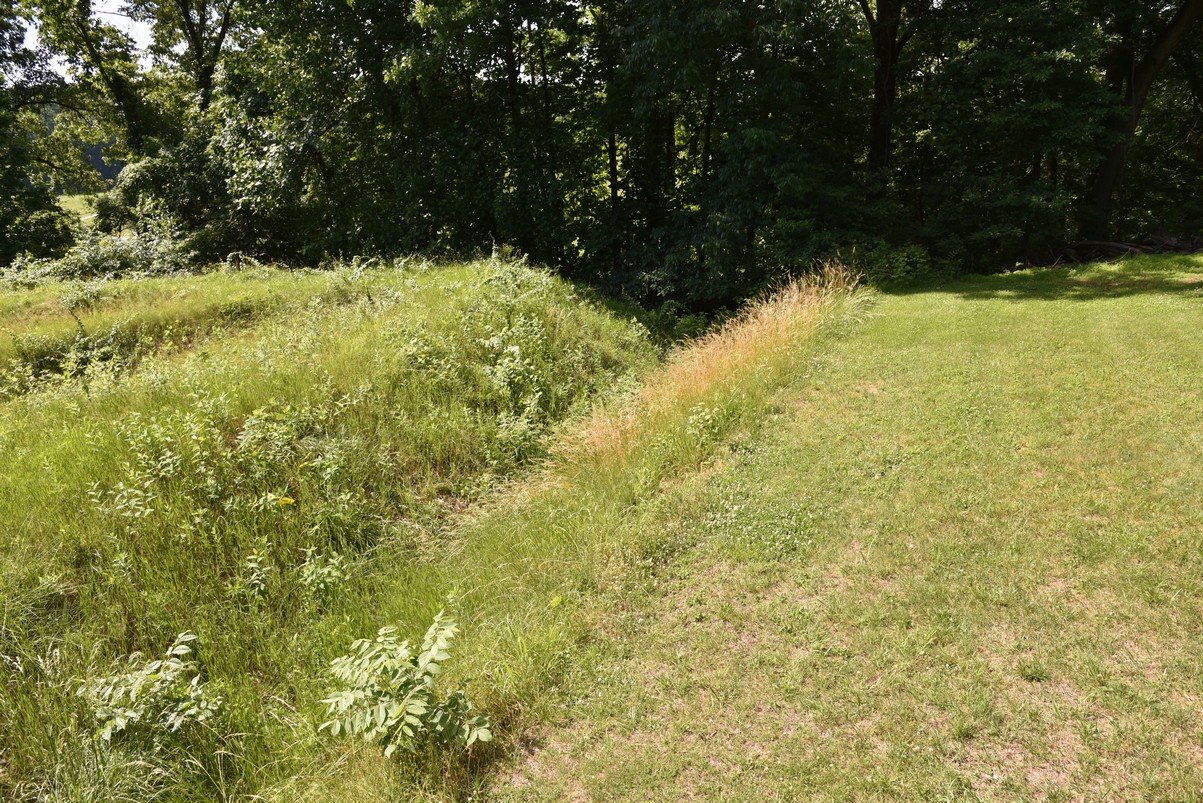 dsc_5993_fs.jpg