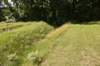 dsc_5993_fs_small.jpg
