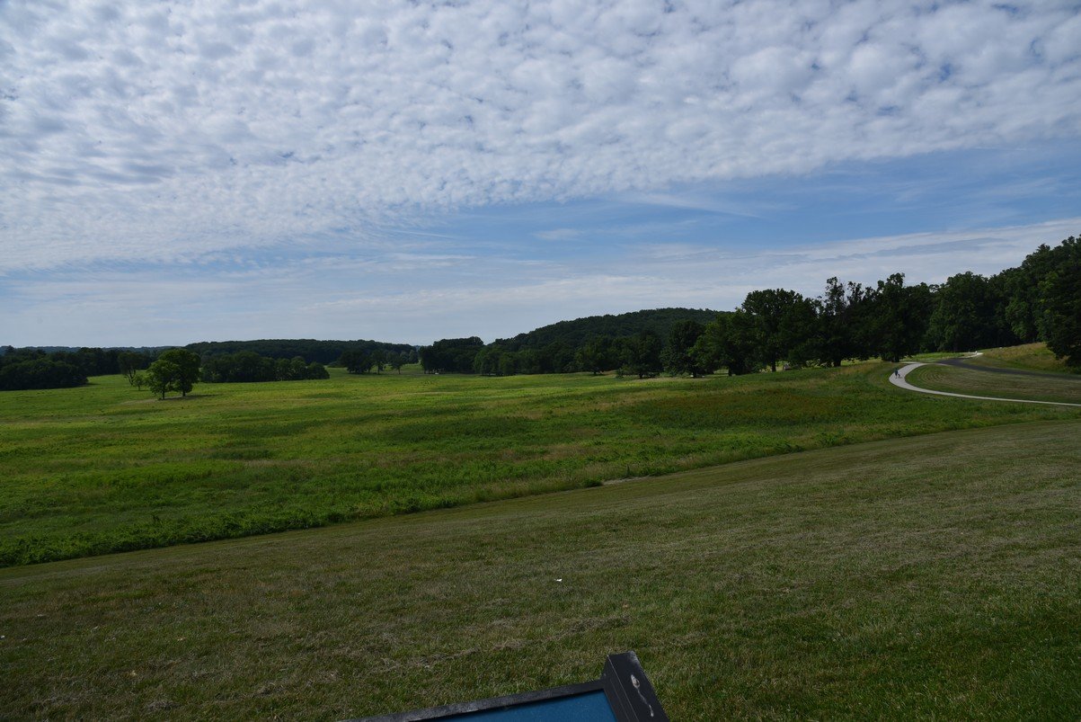 dsc_6010_fs.jpg