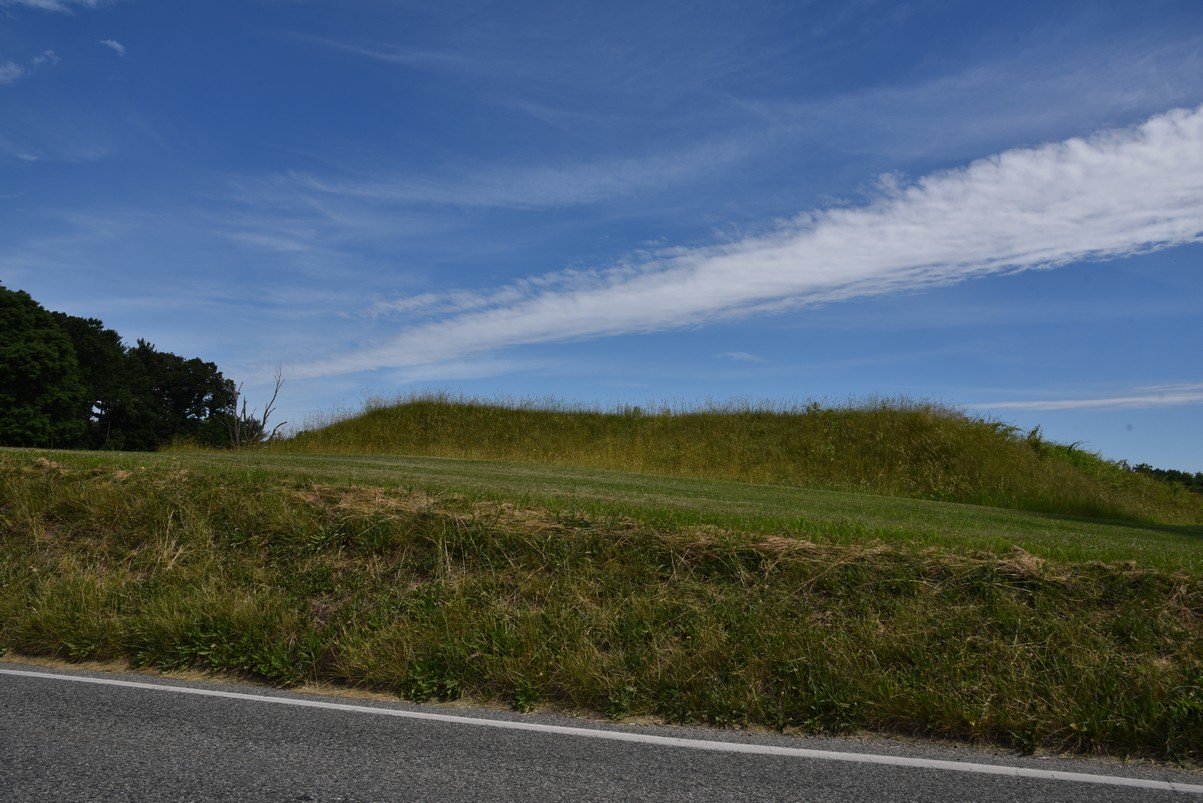 dsc_6014_fs.jpg