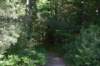 dsc_6210_fs_small.jpg