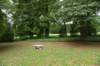 dsc_0533_fs_small.jpg