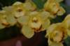dsc_0590_fs_small.jpg