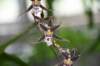 dsc_0604_fs_small.jpg