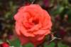 dsc_0720_fs_small.jpg