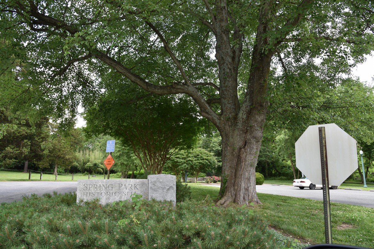 dsc_0736springpark.jpg