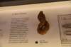 dsc_0870_fs_small.jpg