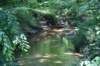 dsc_0993_fs_small.jpg