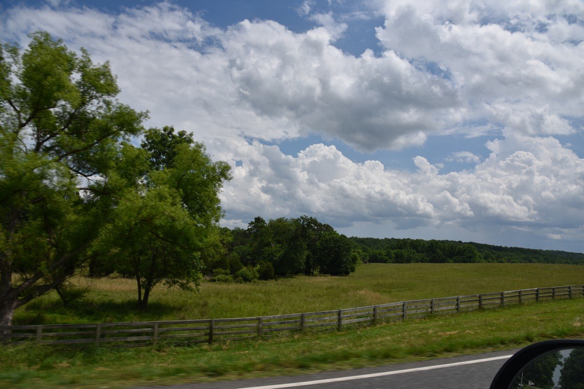 dsc_1046_fs.jpg