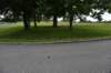 dsc_1057_fs_small.jpg