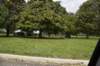 dsc_1118_fs_small.jpg