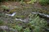 dsc_1135_fs_small.jpg