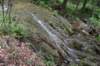 dsc_1136_fs_small.jpg
