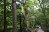 dsc_1140_fs_small.jpg
