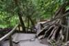 dsc_1141_fs_small.jpg