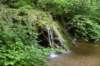 dsc_1142_fs_small.jpg