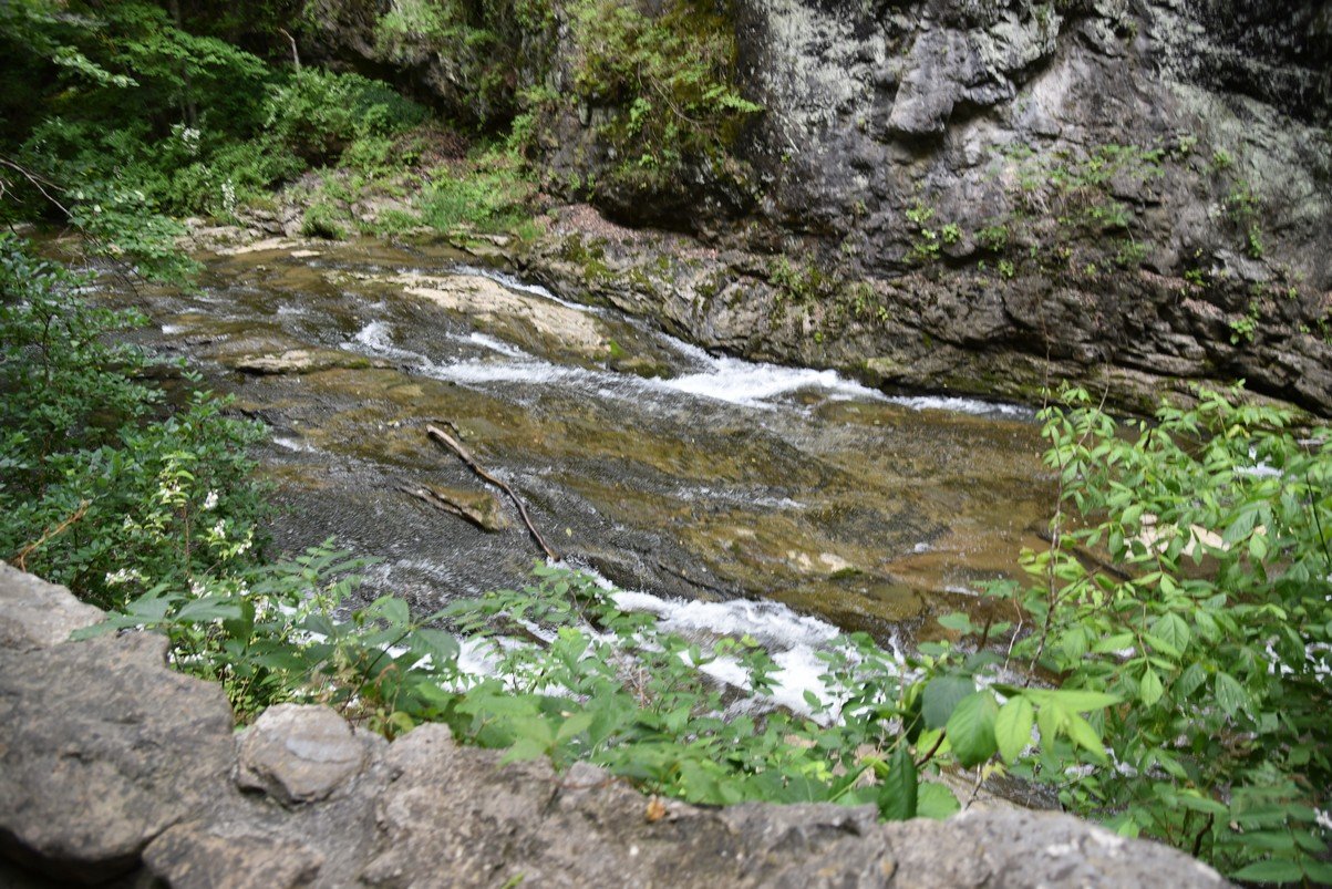 dsc_1165_fs.jpg