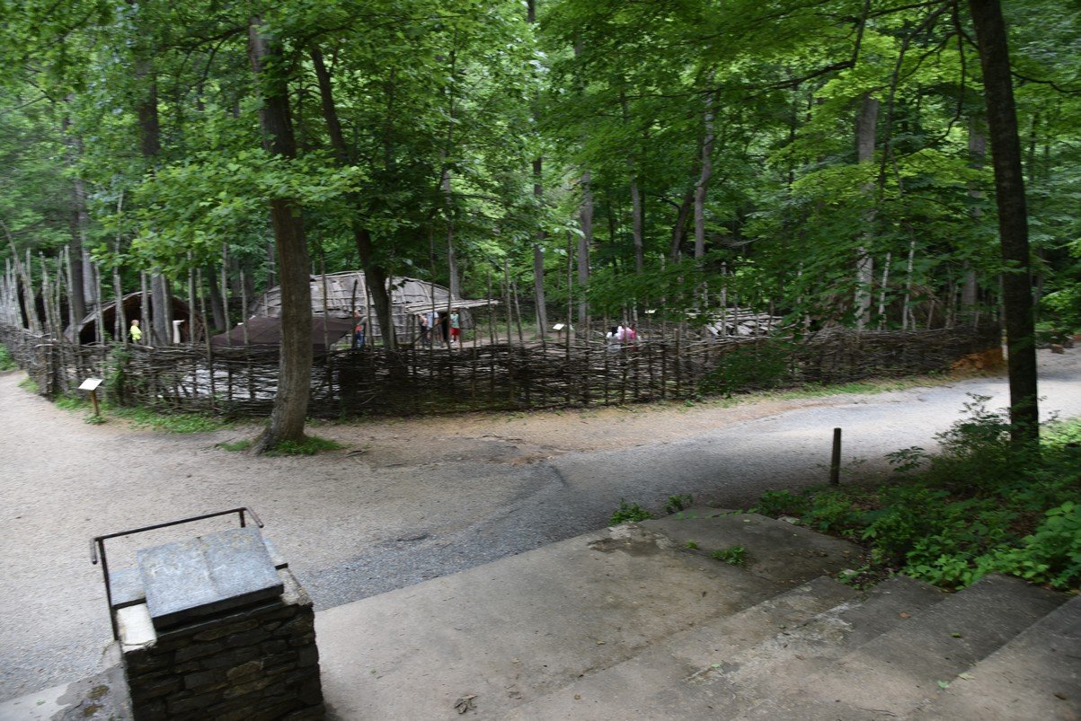 dsc_1170_fs.jpg