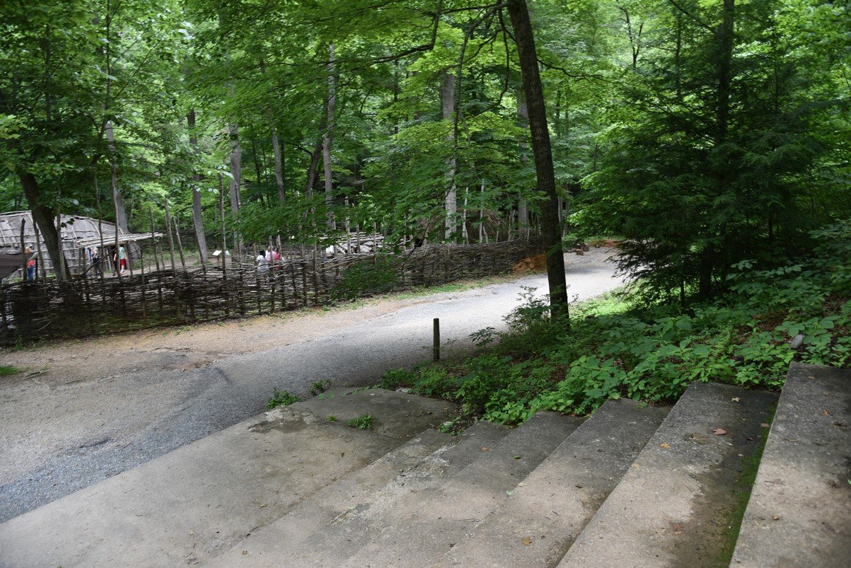 dsc_1171_fs.jpg