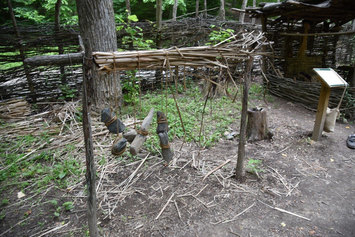 dsc_1179_fs.jpg