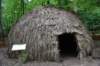 dsc_1181_fs_small.jpg