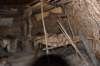 dsc_1185_fs_small.jpg