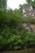 dsc_1197_fs_small.jpg