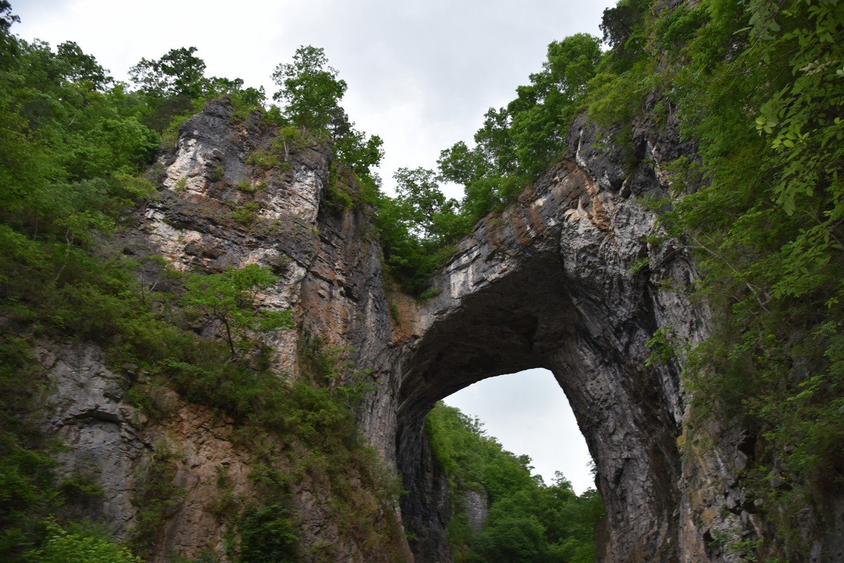 dsc_1205_fs.jpg