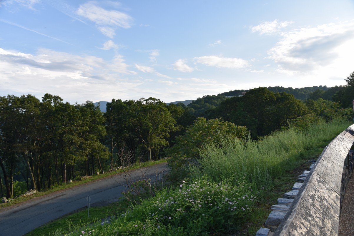 dsc_1227_fs.jpg