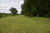 dsc_1446_fs_small.jpg