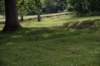 dsc_1452_fs_small.jpg