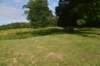 dsc_1466_fs_small.jpg