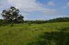 dsc_1468_fs_small.jpg